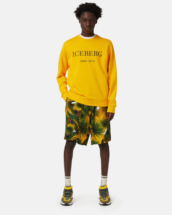 Embroidered logo sweatshirt in yellow - Iceberg - Official Website