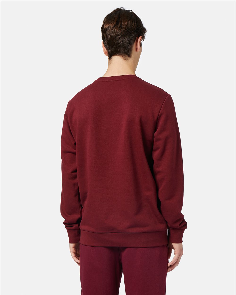 Institutional regular crew sales neck