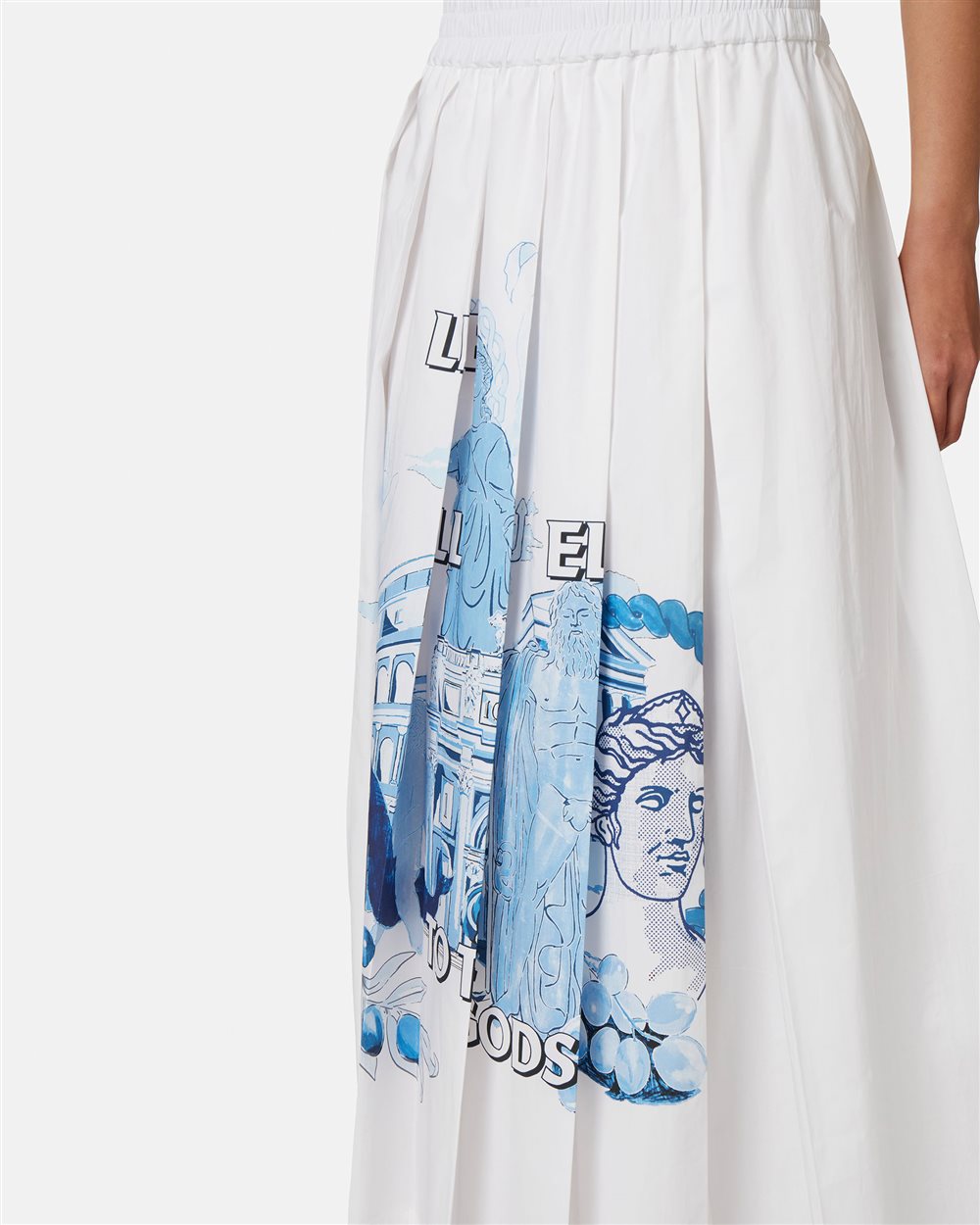 Skirt with Roma prints - Iceberg - Official Website