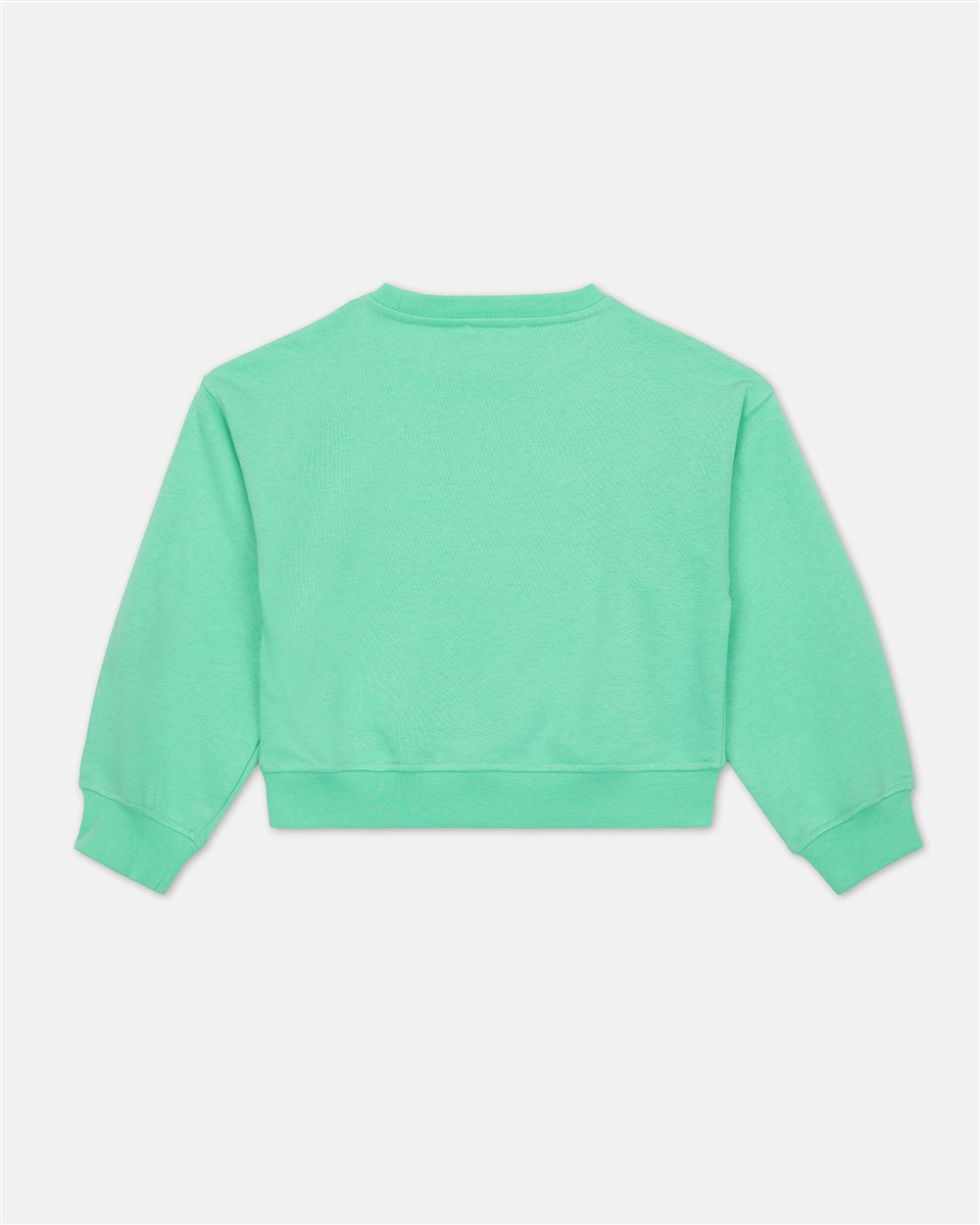 Mint crewneck sweatshirt with tone-on-tone Iceberg institutional logo - Iceberg - Official Website