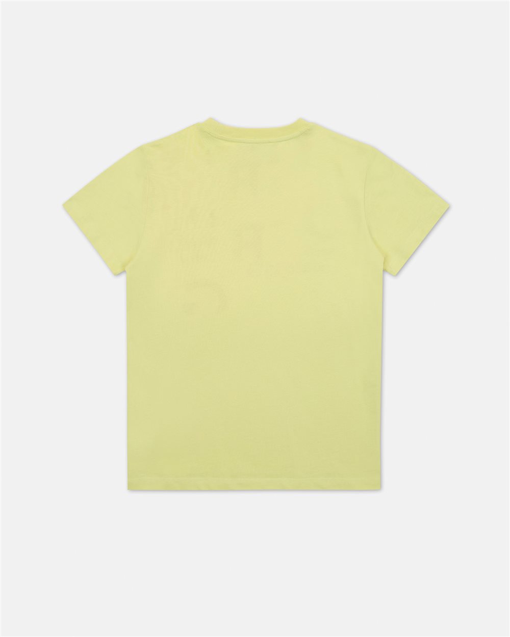Short-sleeved mint-colored crew-neck T-shirt with contrasting lettering - Iceberg - Official Website