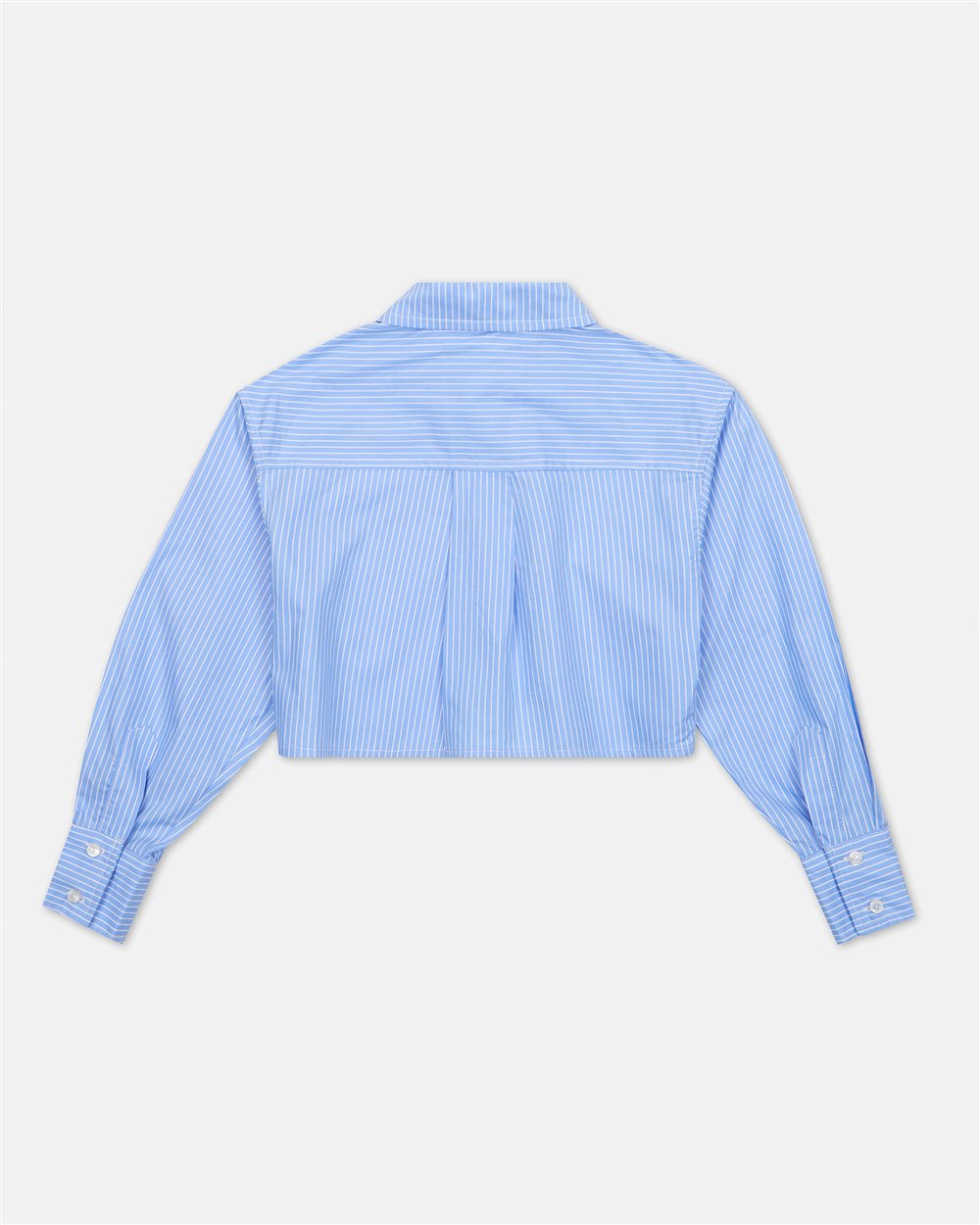 Light blue long-sleeved cropped shirt - Iceberg - Official Website
