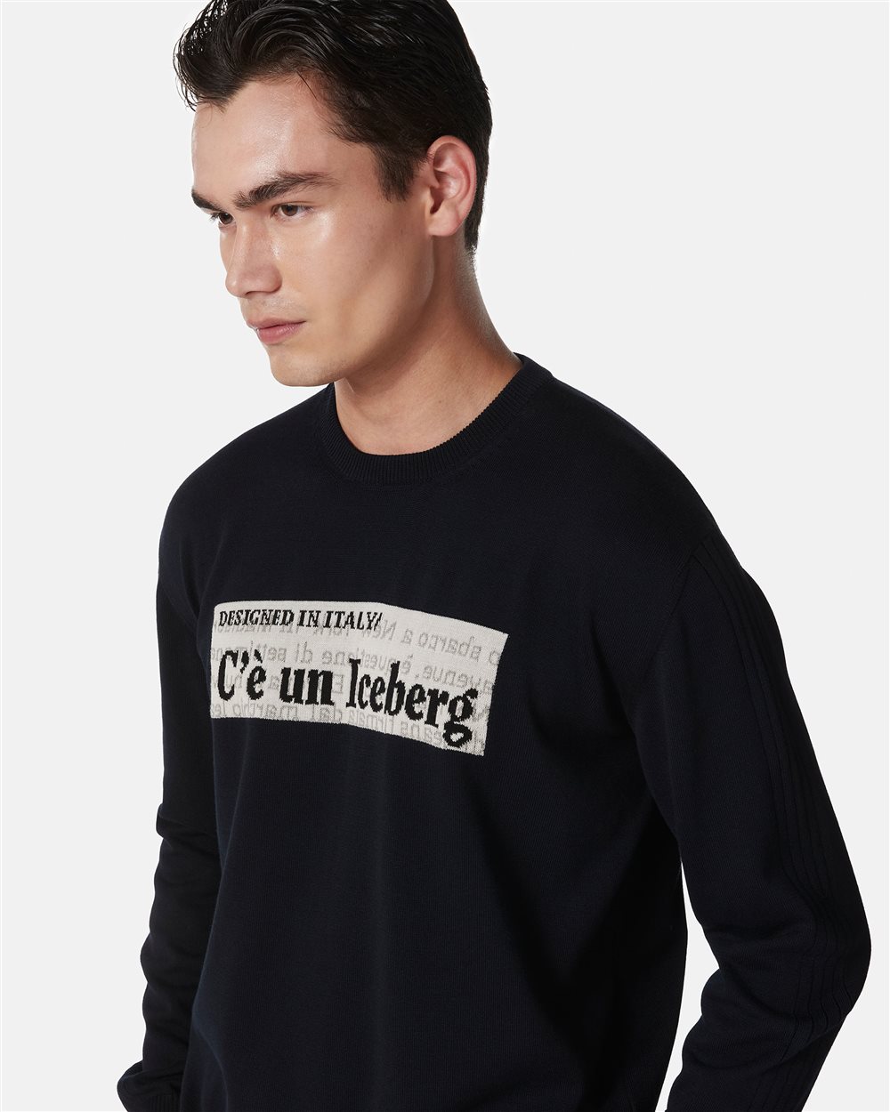Blue crewneck cotton sweater with jacquard graphics - Iceberg - Official Website