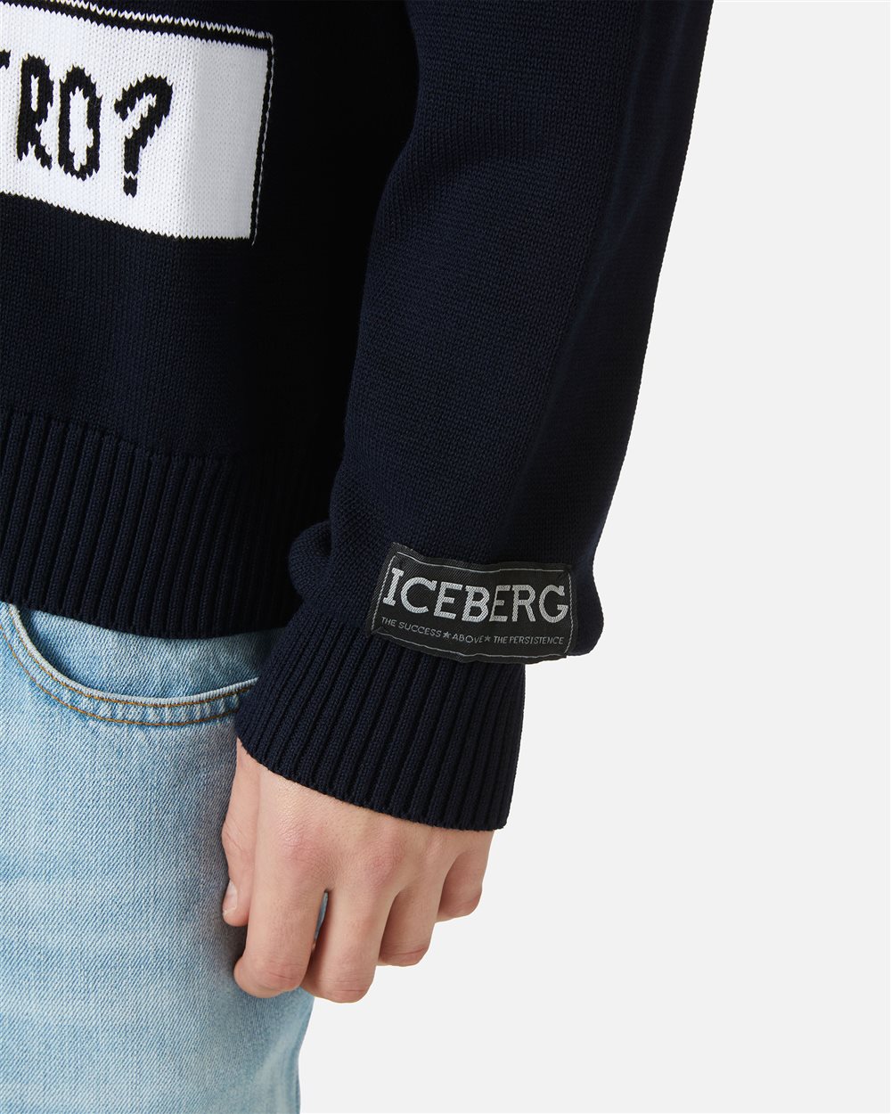 Cotton crewneck sweater with cartoon and jacquard inlays - Iceberg - Official Website