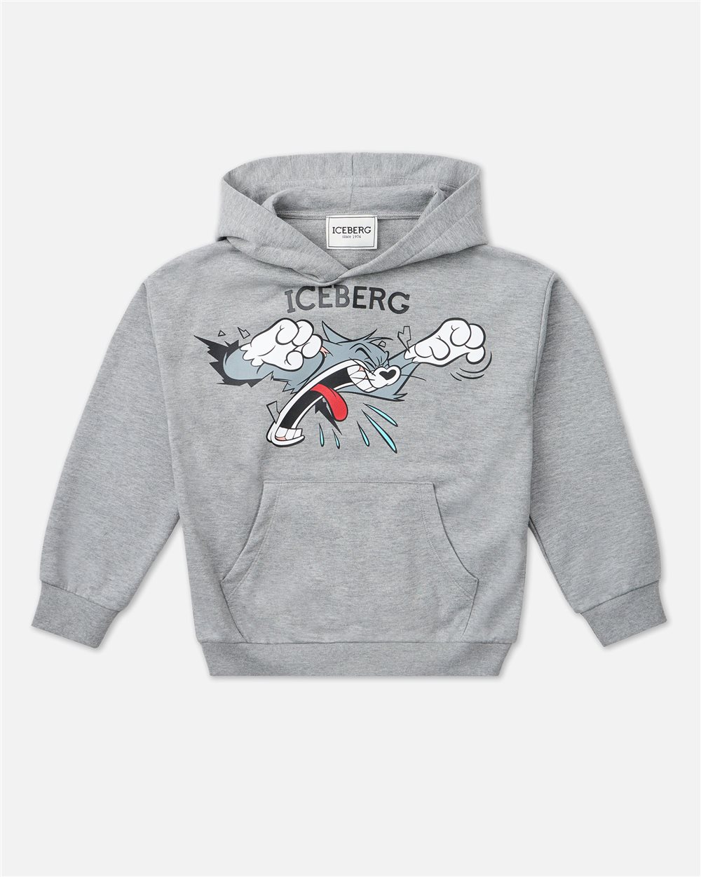 Junior Heather Gray Hoodie with Looney Tunes Tom - Iceberg - Official Website