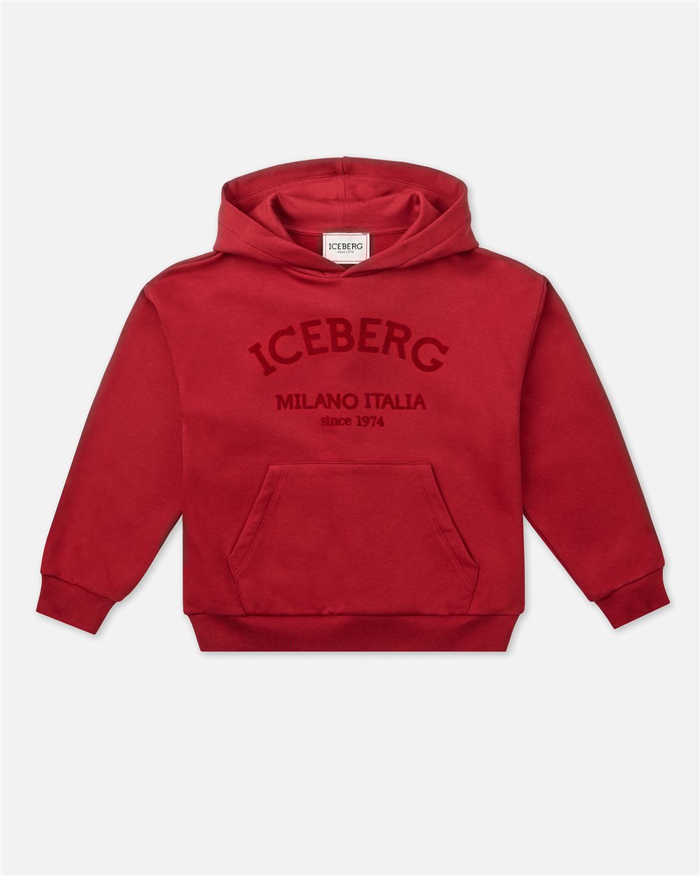 Purple hoodie with tone-on-tone logo - Iceberg - Official Website