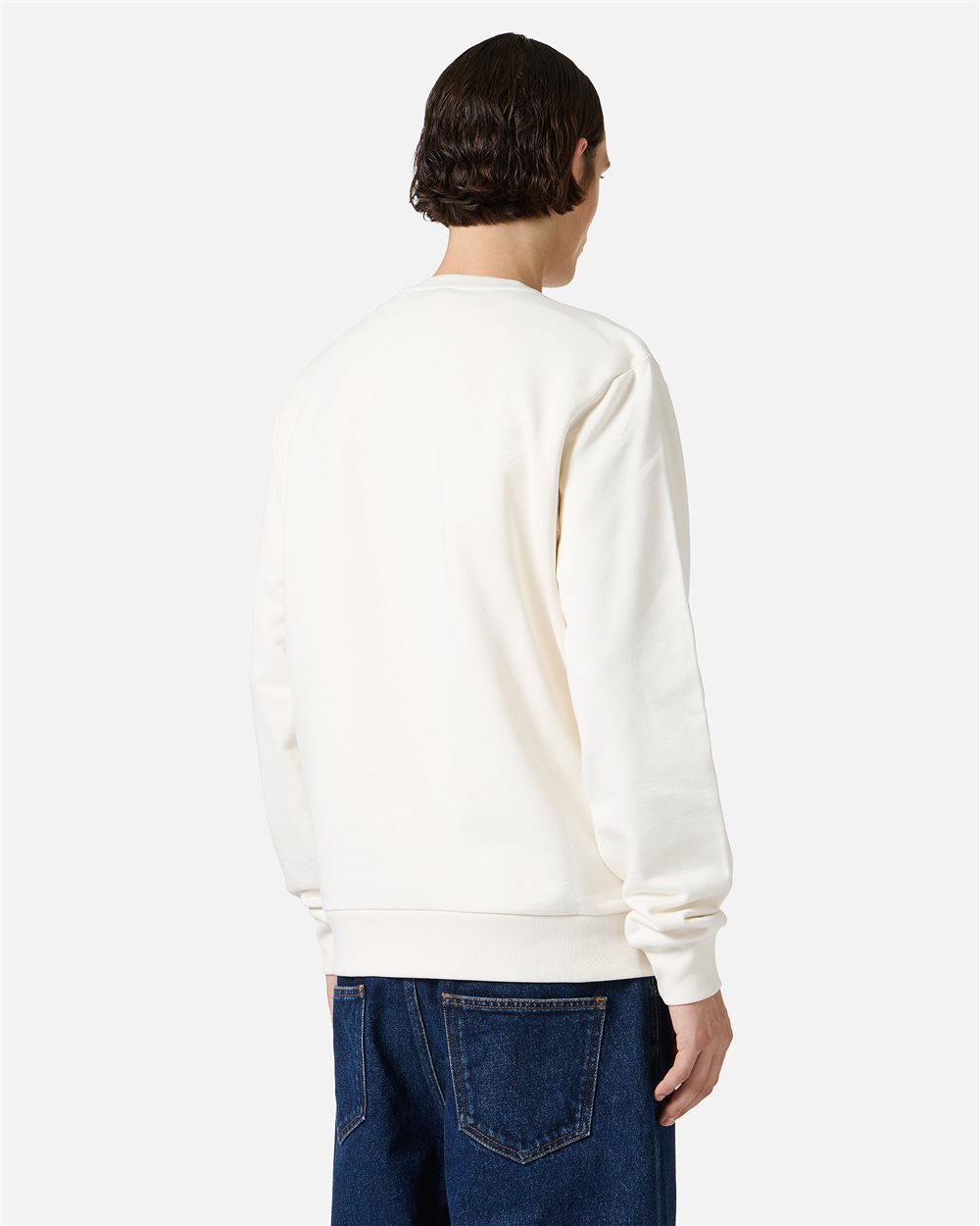 Regular fit crewneck sweatshirt in dark grey with embroidered institutional Iceberg logo - Iceberg - Official Website