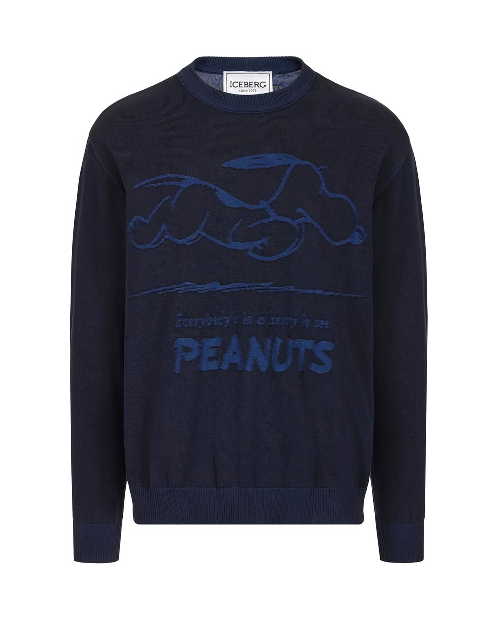 Ice-gray cotton crew neck sweater with a Peanuts design | ICEBERG