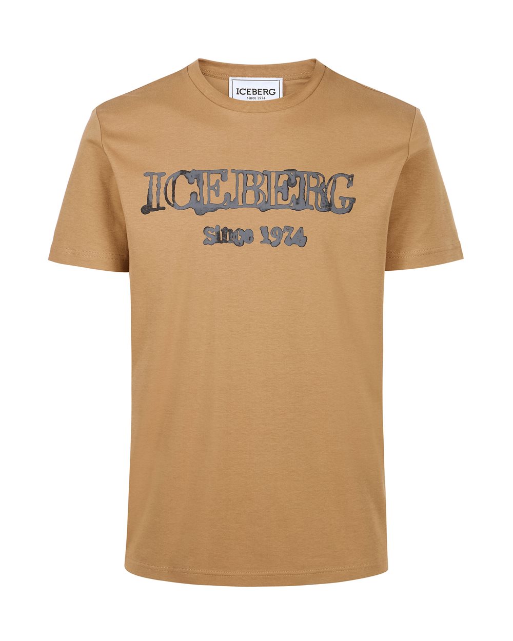 T shirt with printed and embroidered Bear Iceberg