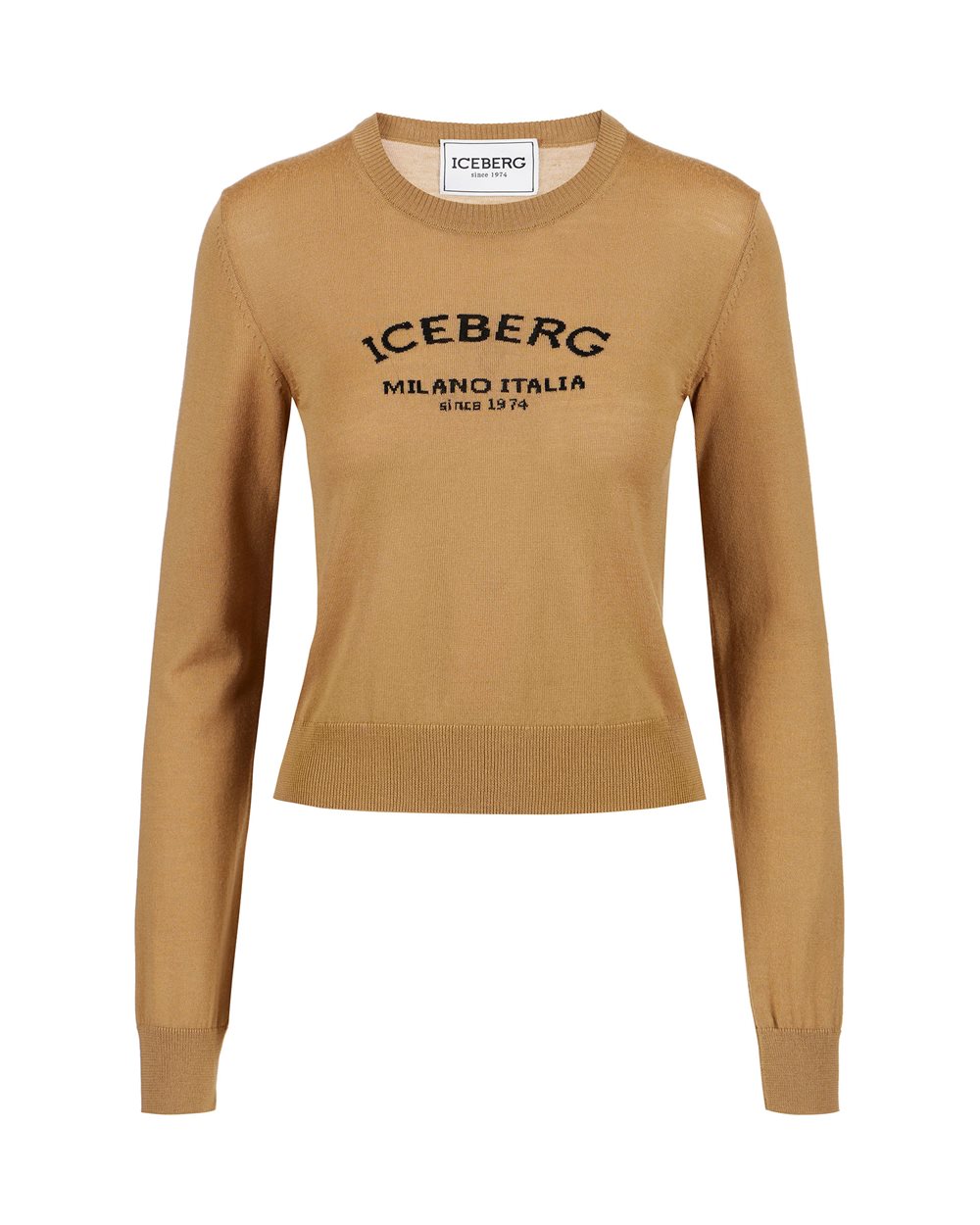 Crew-neck sweater with logo - New in | Iceberg - Official Website
