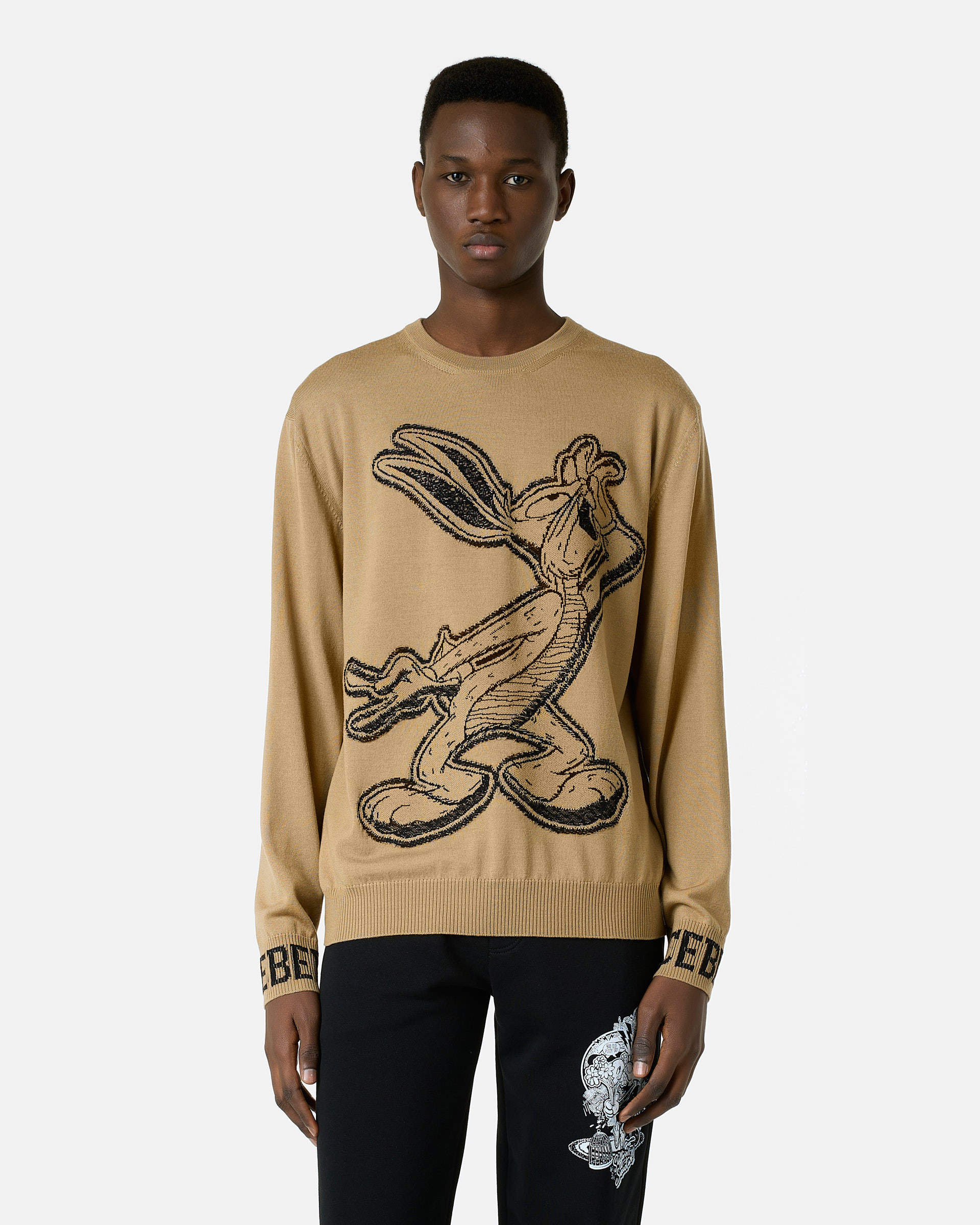 iceberg looney tunes sweater