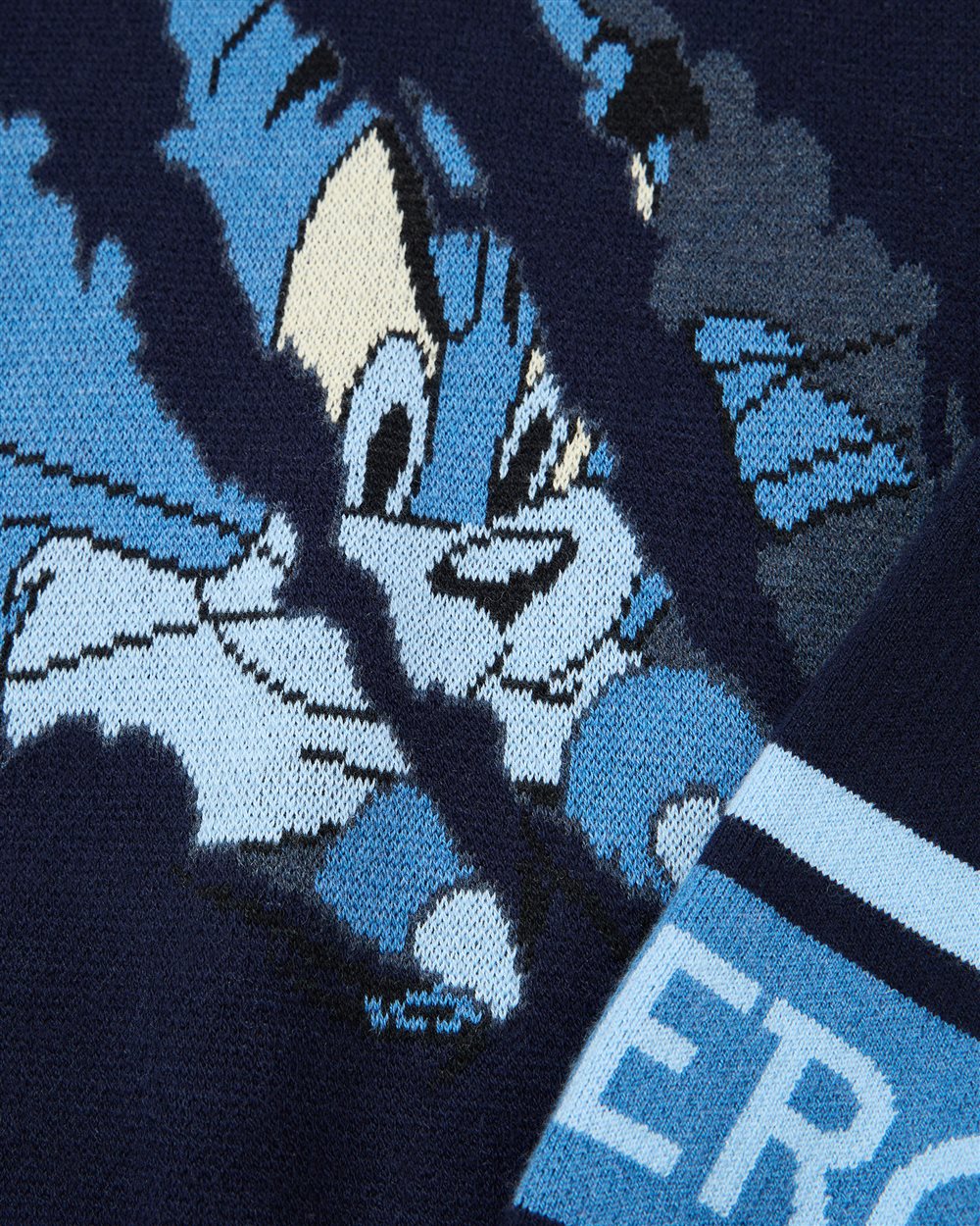 Blue crewneck sweater with Looney Tunes print | ICEBERG