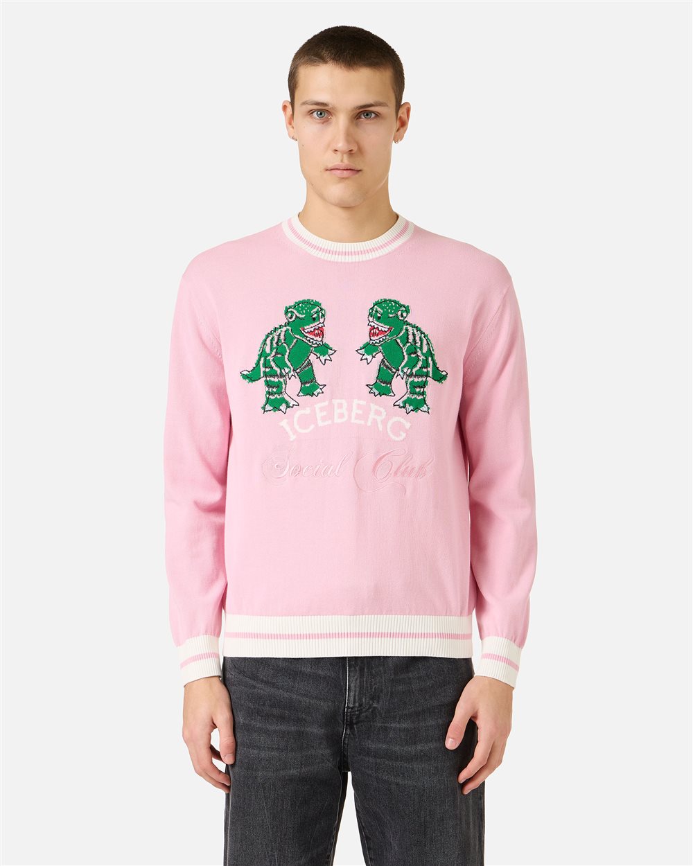 Pink cotton crew neck sweater with dragon inlay | ICEBERG