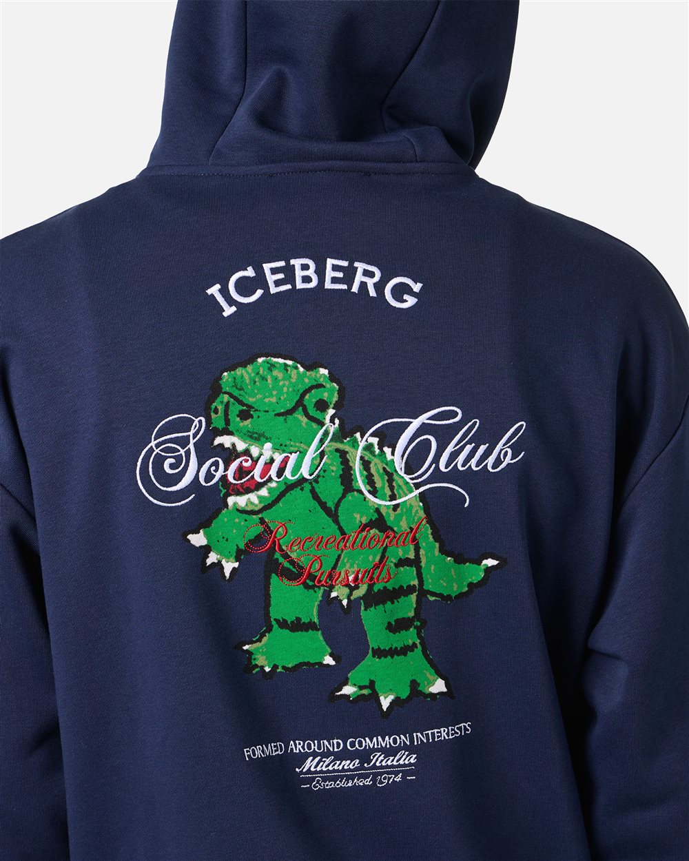 Blue regular fit cotton fleece hoodie with Dino Social Club print