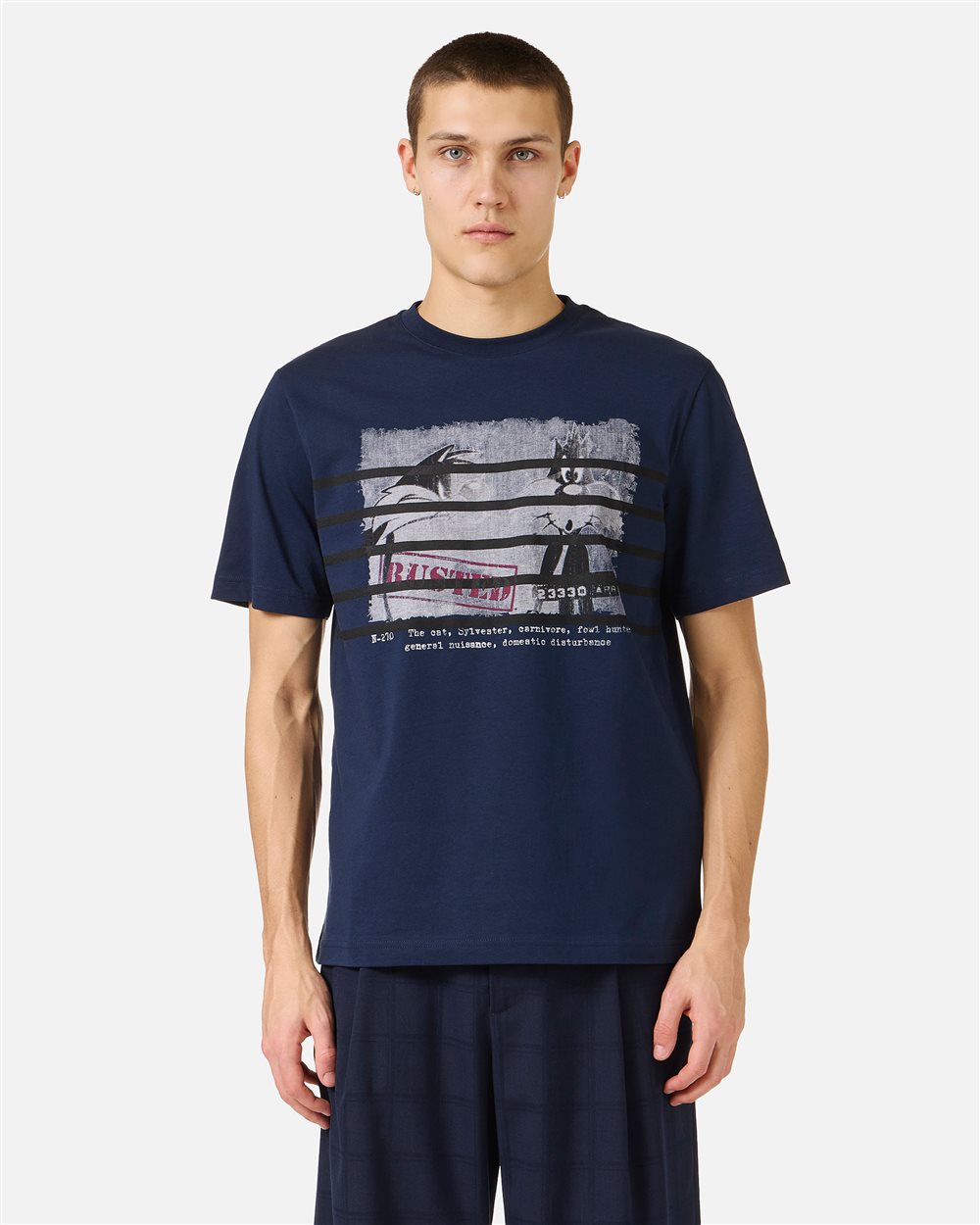 Regular fit blue cotton jersey T-shirt with Looney Tunes print
