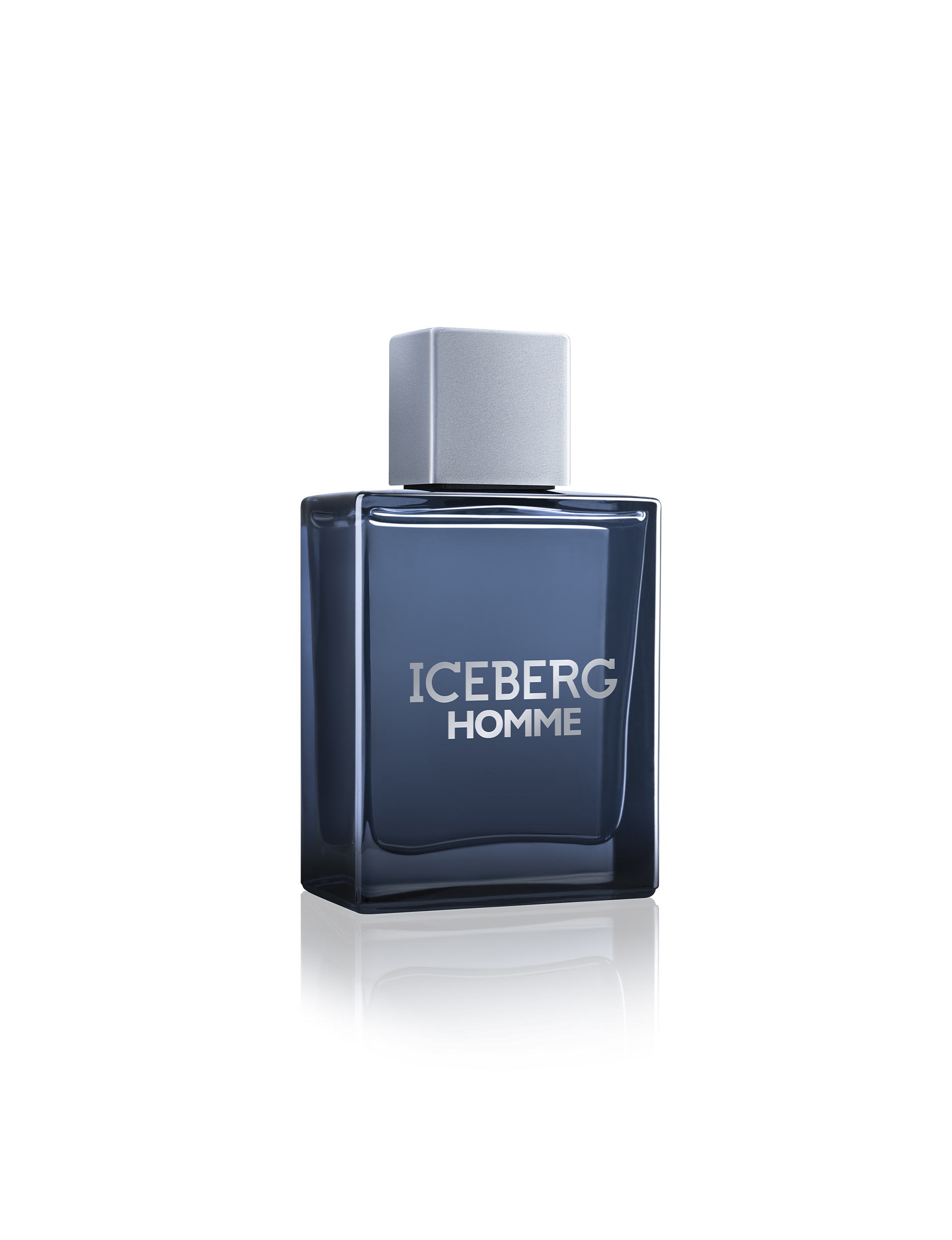 Iceberg Homme Eau De Toilette Spray By Iceberg