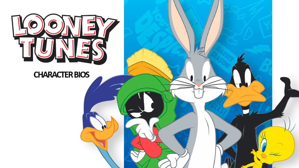 Looney Tunes Collection: Outfit for Men and Women